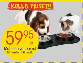 Mat- och vattenskål