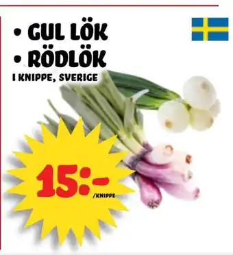 Gul lök • rödlök
