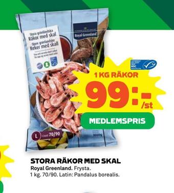 Stora räkor med skal