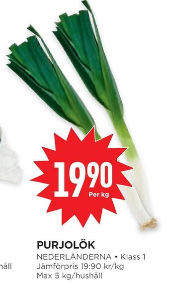 Purjolök