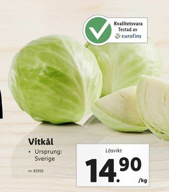 Lidl Vitkål erbjuda