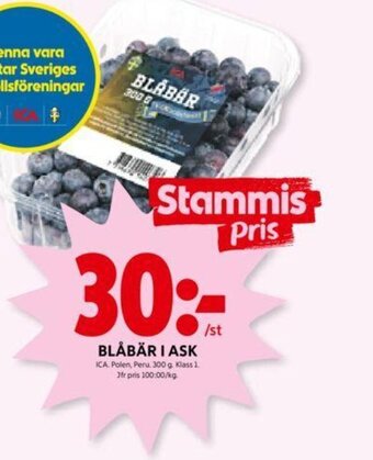 ICA Kvantum BLÅBÄR I ASK erbjuda