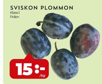 SVISKON PLOMMON