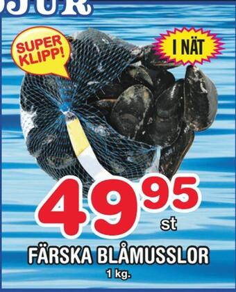 Nya Pulsen Färska blåmusslor erbjuda