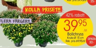 EKO Plantor erbjuda