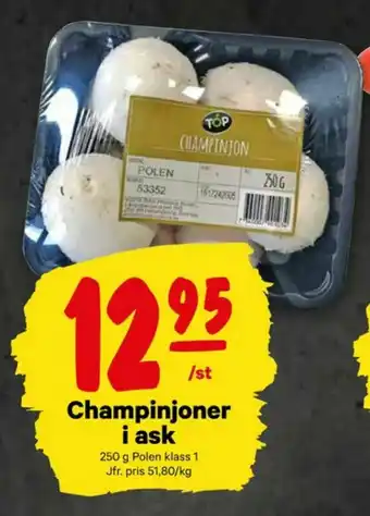 City Gross Top Champinjoner erbjuda
