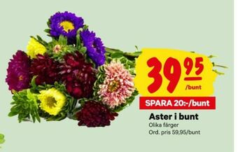 City Gross Blommor erbjuda