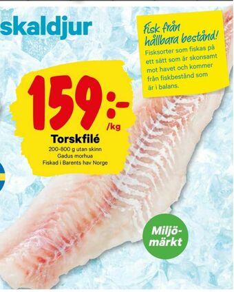 City Gross Torsk erbjuda
