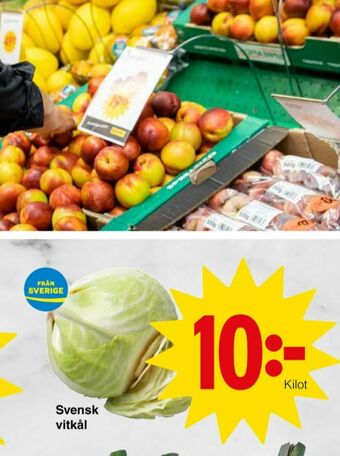 Matöppet Vitkål erbjuda