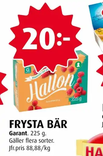 Garant Bär