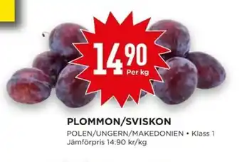 Polen/Ungern/Makedonien Plommon/Sviskon