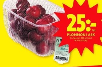 PLOMMON I ASK