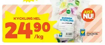 Kyckling hel