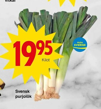 Matöppet Svensk purjolök erbjuda