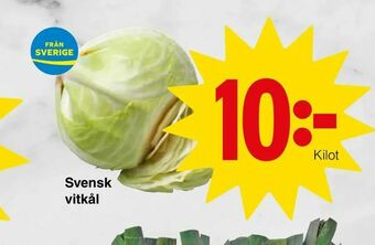 Matöppet Svensk vitkål erbjuda