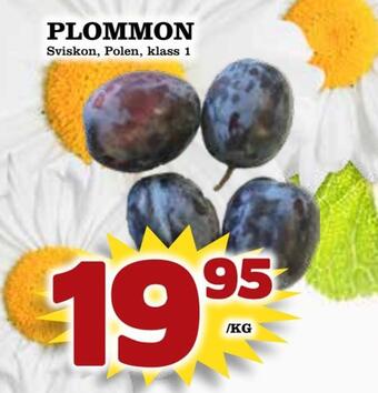 Supergrossen Plommon erbjuda