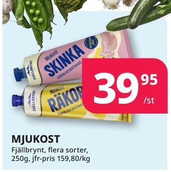 Tempo Mjukost erbjuda