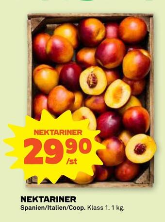 Coop Forum Nektariner erbjuda