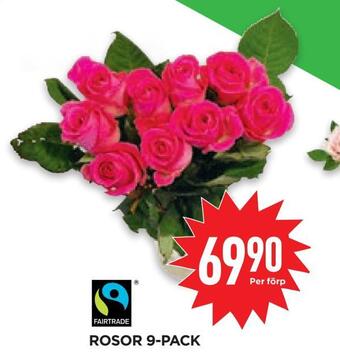 Willys Hemma Rosor 9-pack erbjuda