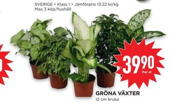 Willys Hemma Gröna växter erbjuda