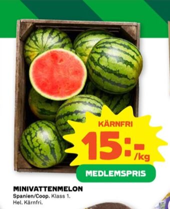Stora Coop Coop vattenmelon erbjuda