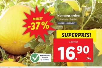 Lidl Honungsmelon erbjuda