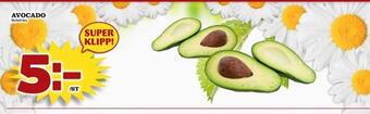Nya Pulsen Avocado erbjuda