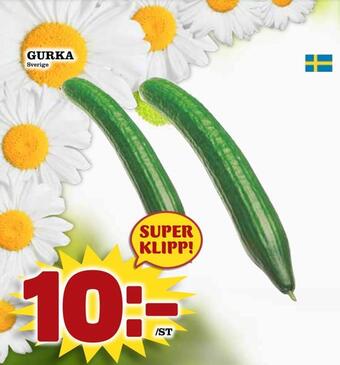 Nya Pulsen Gurka erbjuda