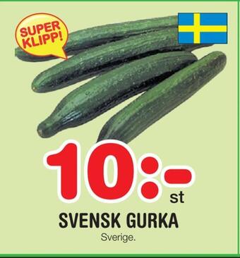 Nya Pulsen Svensk gurka erbjuda