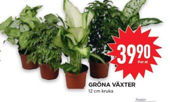 Willys GRÖNA VÄXTER erbjuda