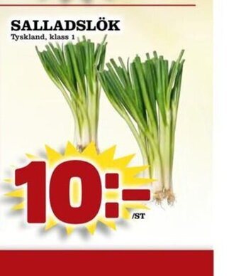 Supergrossen SALLADSLÖK erbjuda