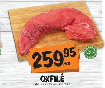 Oxfilé