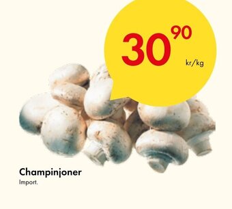 Snabbgross Champinjoner erbjuda