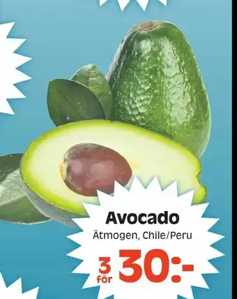 Avocado