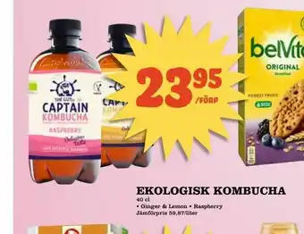 Ekologisk kombucha