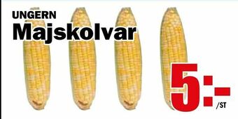 Matdax Majskolvar erbjuda