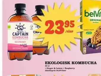 Ekologisk kombucha