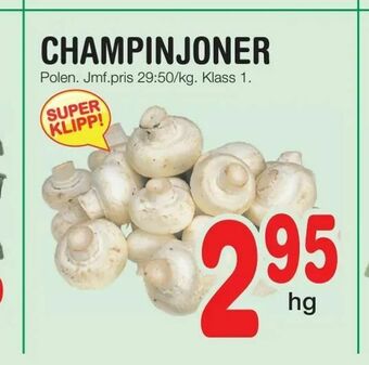 Nya Pulsen Champinjoner erbjuda
