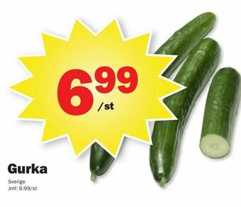 Pekås Gurka erbjuda