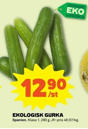 Stora Coop Ekologisk gurka erbjuda