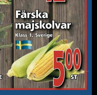 Supergrossen Färska majskolvar erbjuda