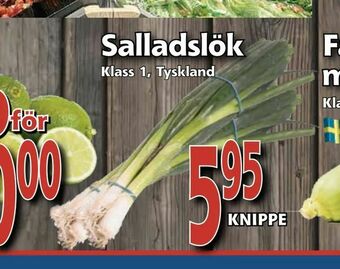 Supergrossen Salladslök erbjuda