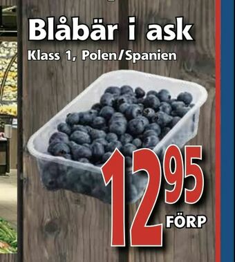 Supergrossen Blåbär i ask erbjuda