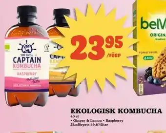 Ekologisk kombucha