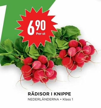 Willys Rädisor i knippe erbjuda