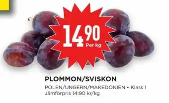 Plommon/sviskon