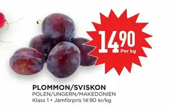 Plommon/sviskon
