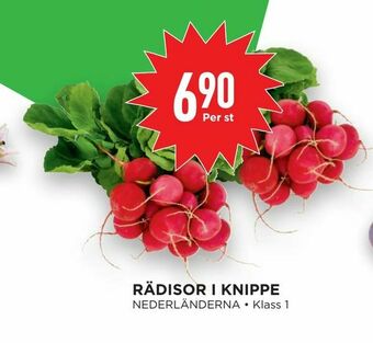 Willys Hemma Rädisor i knippe erbjuda