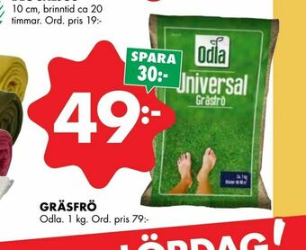 ÖoB Gräsfrö erbjuda