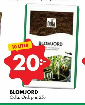 Blomjord
